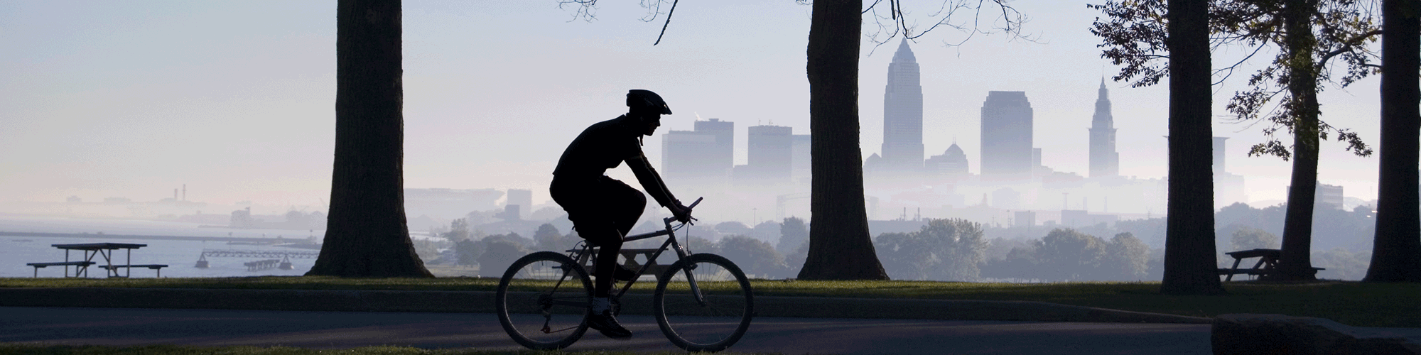 A cyclist silhouetted by a foggy background