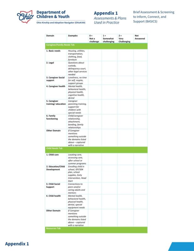 Appendix: Brief Assessment & Screening to Inform, Connect and Support ...